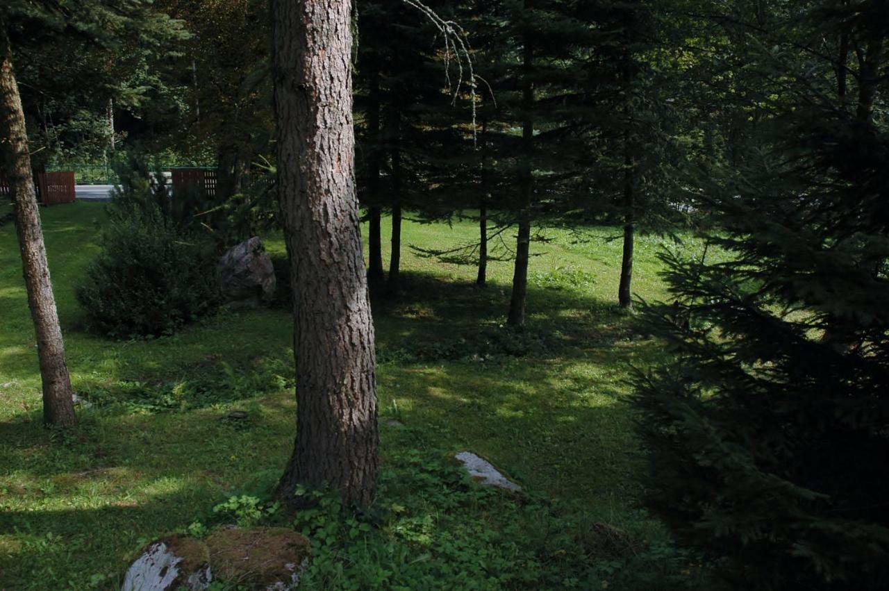Orlí Hnízdo Cerný Dul Exterior foto